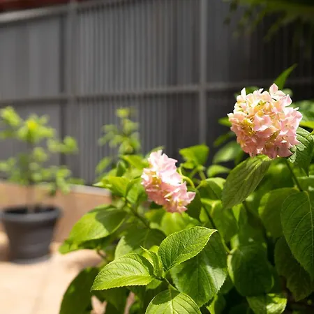 Apartman Amalis Rijeka