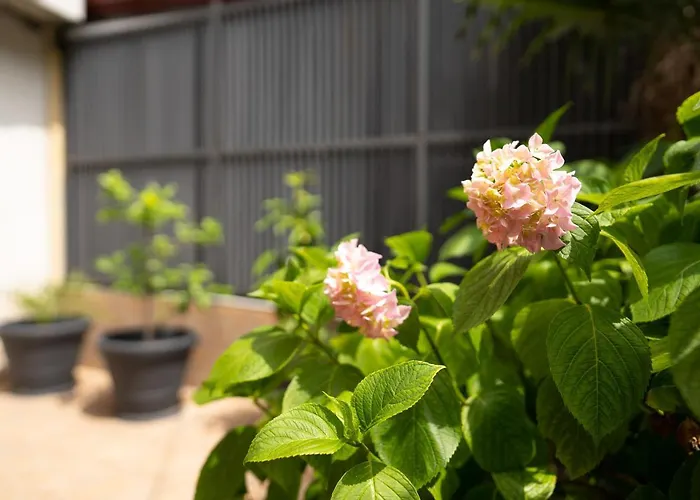 Apartmán Amalis Rijeka